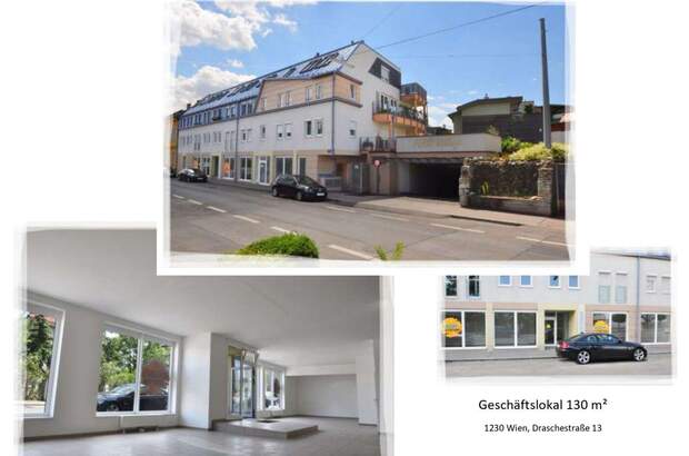 Gewerbeobjekt mieten in 1230 Wien (Bild 1)
