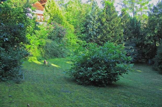 Einfamilienhaus kaufen in 2534 Alland (Bild 4)