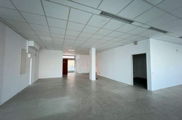 Gewerbeobjekt mieten in 1130 Wien (Bild 3)