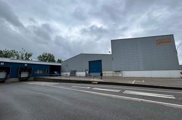 Gewerbeobjekt mieten in 7053 Hornstein (Bild 3)