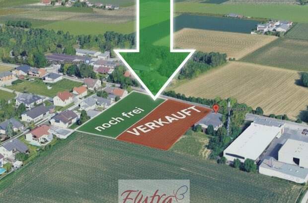 Grundstück kaufen in 4614 Marchtrenk (Bild 3)