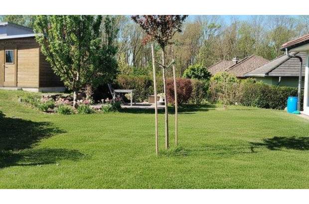 Einfamilienhaus kaufen in 7012 Zagersdorf (Bild 3)