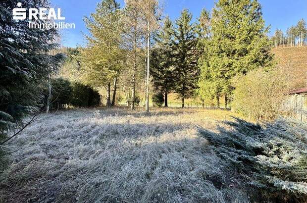 Grundstück kaufen in 3172 Ramsau (Bild 1)