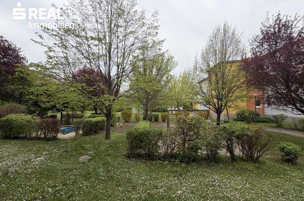 Terrassenwohnung mieten in 2421 Kittsee (Bild 3)