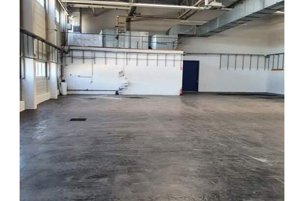 Gewerbeobjekt mieten in 7011 Siegendorf