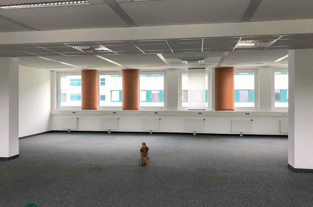 Gewerbeobjekt mieten in 5020 Salzburg (Bild 1)
