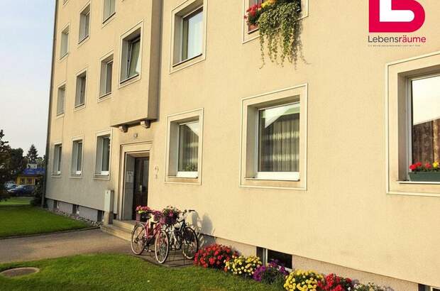 Altbauwohnung mieten in 4240 Freistadt (Bild 2)