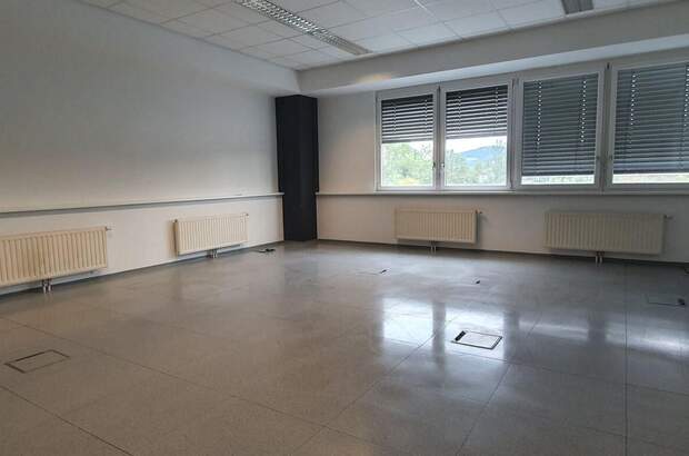 Gewerbeobjekt mieten in 8051 Graz (Bild 3)