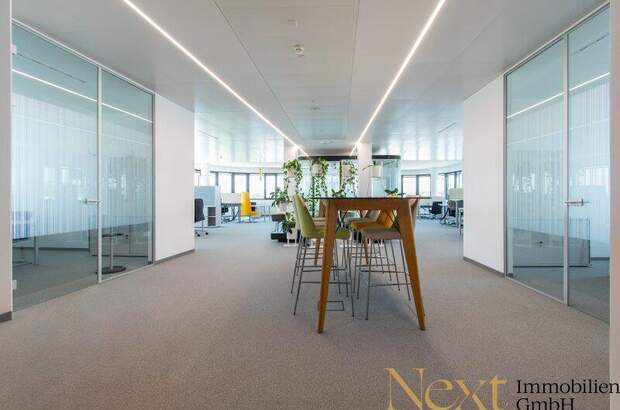 Büro / Praxis mieten in 4030 Linz (Bild 5)