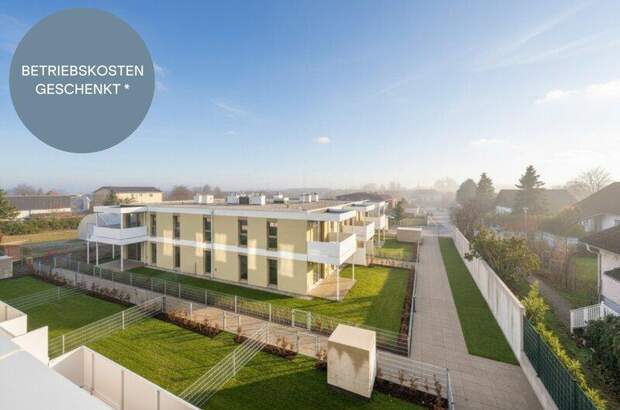 Wohnung kaufen in 2540 Bad Vöslau (Bild 1)