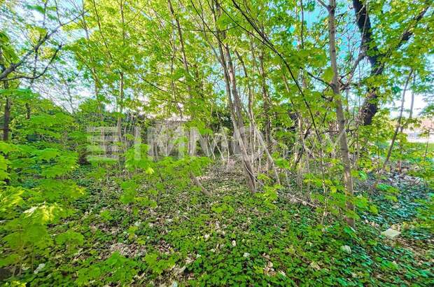 Grundstück kaufen in 2130 Mistelbach (Bild 4)