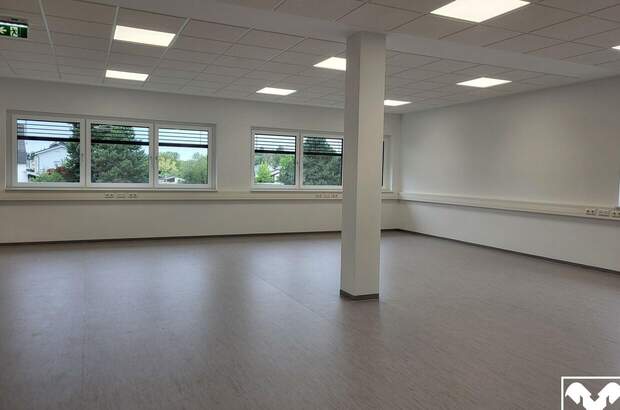 Gewerbeobjekt mieten in 4061 Pasching (Bild 3)