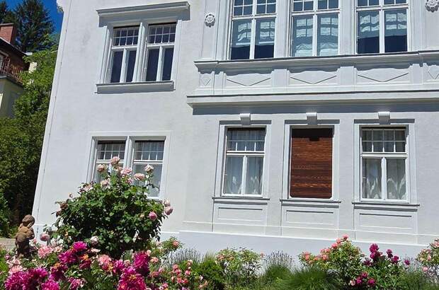 Haus mit Garten kaufen in 2500 Baden (Bild 3)