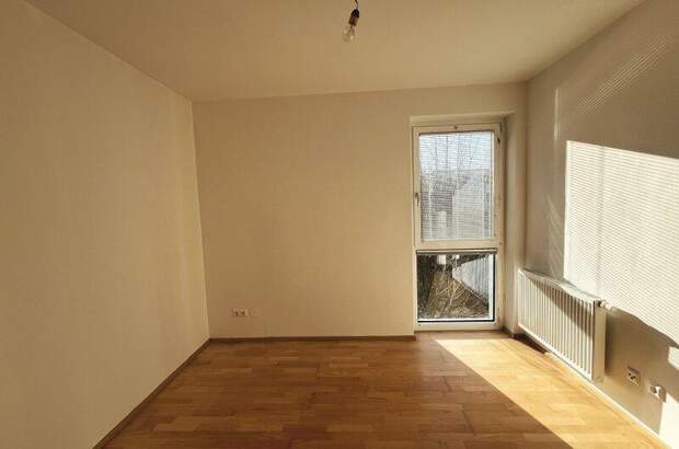 Terrassenwohnung mieten in 3140 Pottenbrunn (Bild 5)