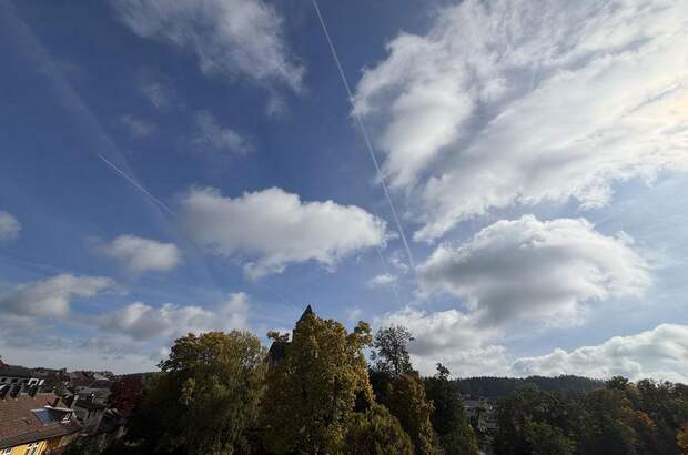 Terrassenwohnung mieten in 3860 Heidenreichstein (Bild 3)