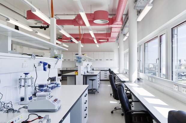 Gewerbeobjekt mieten in 1210 Wien (Bild 3)