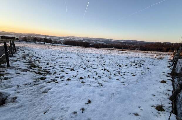 Grundstück kaufen in 4223 Weidegut (Bild 1)