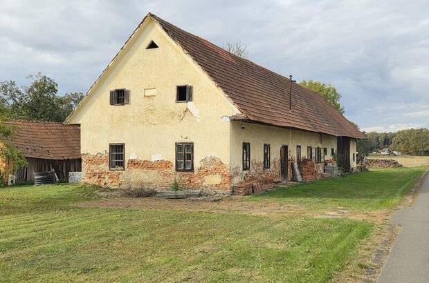 Bauernhaus kaufen in 8483 Deutsch Goritz (Bild 5)