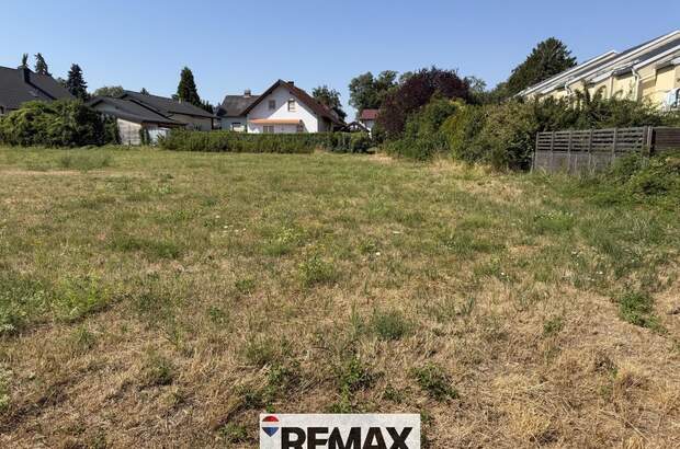 Grundstück kaufen in 3433 Königstetten (Bild 4)