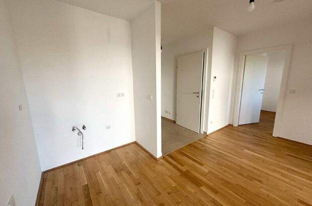 Terrassenwohnung kaufen in 1210 Wien (Bild 3)