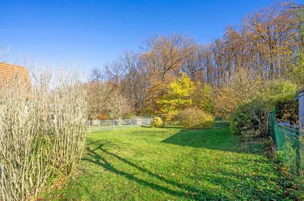 Grundstück kaufen in 2384 Breitenfurt (Bild 1)