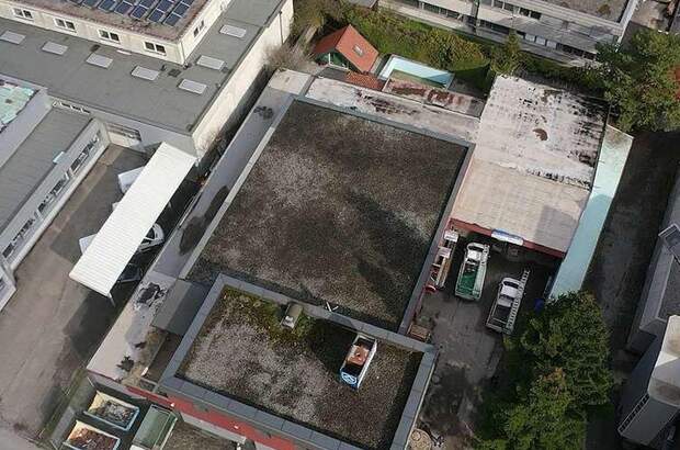 Gewerbeobjekt kaufen in 5300 Hallwang (Bild 4)