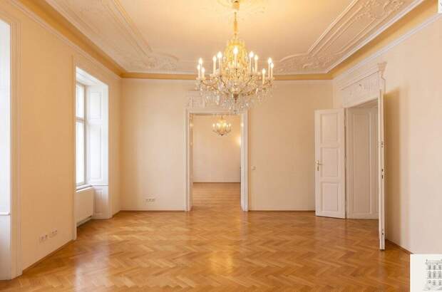 Altbauwohnung kaufen in 1090 Wien (Bild 1)