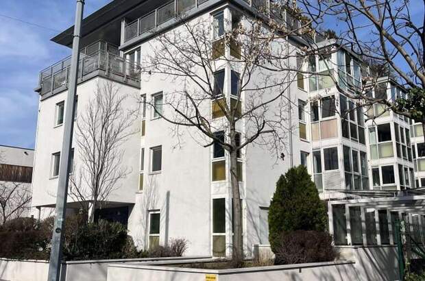 Altbauwohnung mit Balkon mieten in 1016 Wien