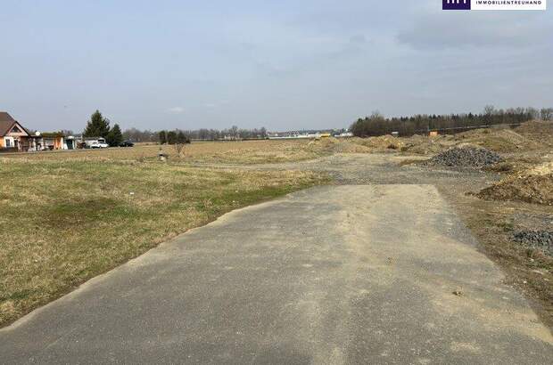 Grundstück kaufen in 8472 Vogau (Bild 4)