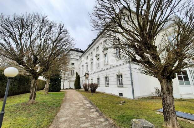 Immobilie mieten in 4600 Thalheim (Bild 1)