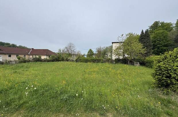 Grundstück kaufen in 4100 Ottensheim (Bild 4)