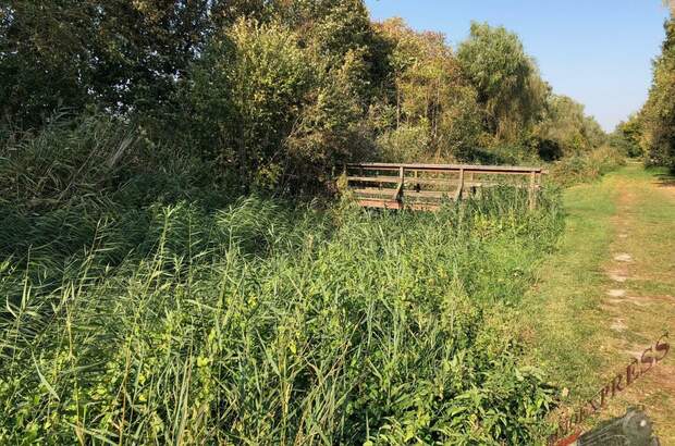 Grundstück kaufen in 2433 Margarethen (Bild 2)