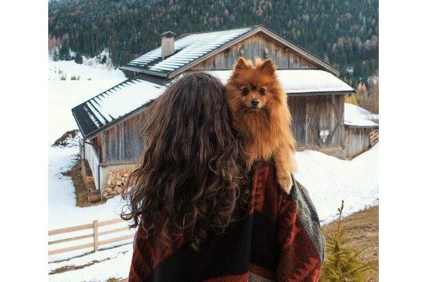 Immobilie kaufen in 9112 Griffen (Bild 3)