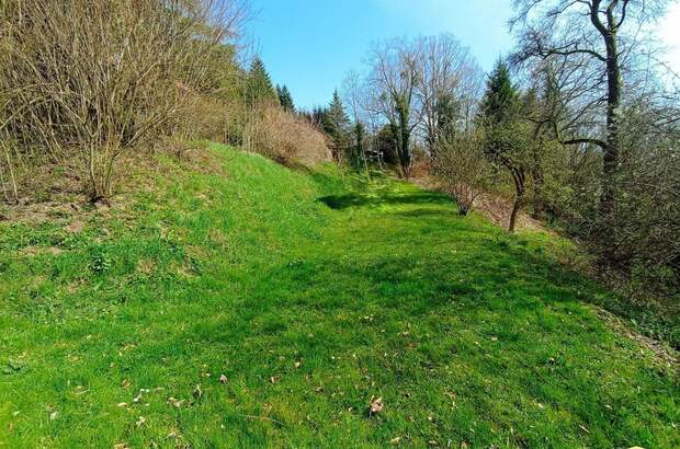 Haus mit Garten kaufen in 3170 Hainfeld (Bild 4)