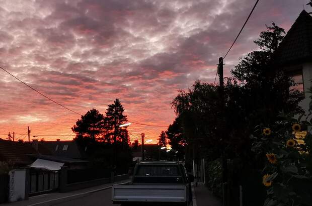 Haus mit Garten mieten in 1210 Wien (Bild 3)
