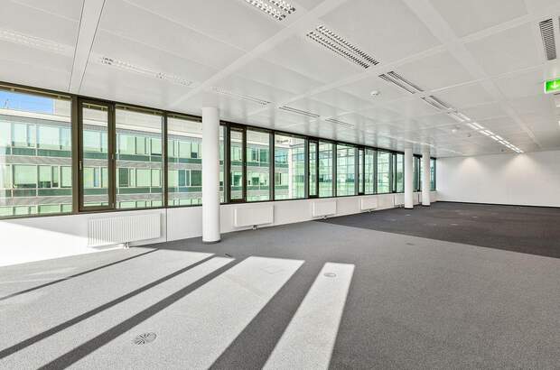 Gewerbeobjekt mieten in 1110 Wien (Bild 3)