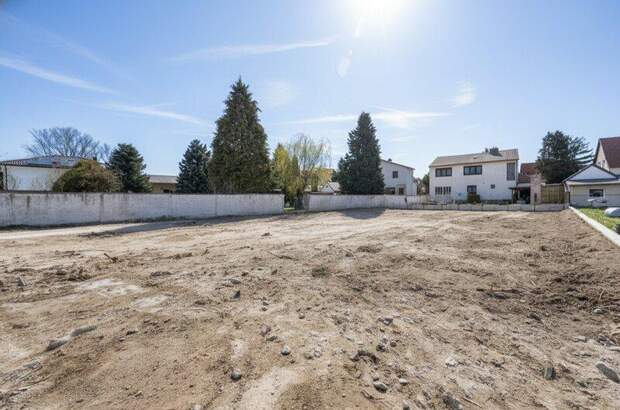 Grundstück kaufen in 2491 Neufeld (Bild 3)