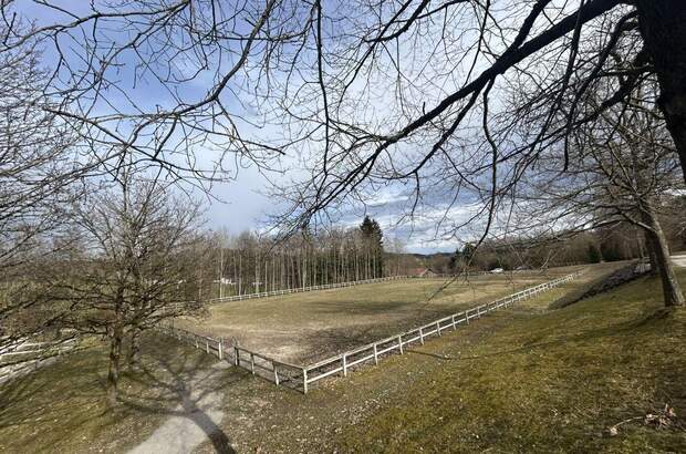 Immobilie mieten in 4843 Ampflwang (Bild 5)