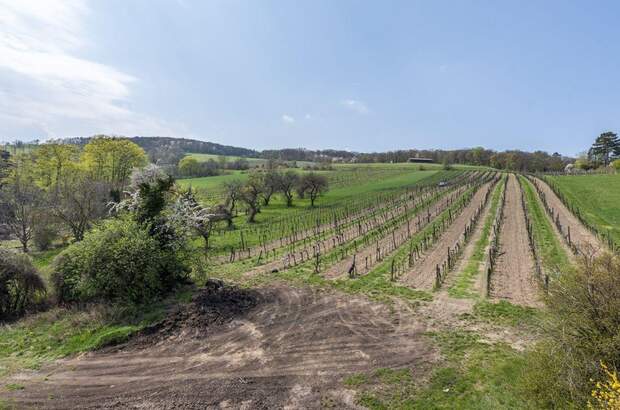 Grundstück kaufen in 3400 Klosterneuburg (Bild 2)