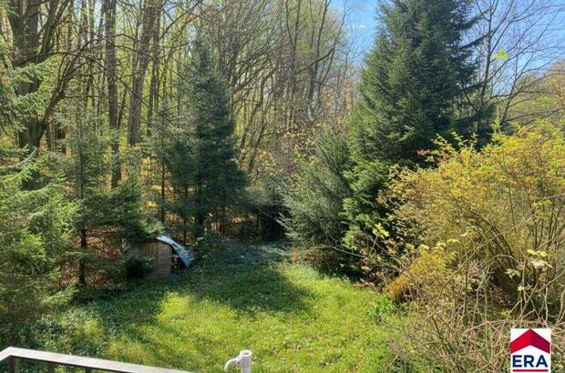 Ferienhaus kaufen in 3032 Eichgraben (Bild 4)