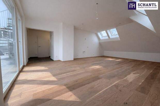 Terrassenwohnung kaufen in 2514 Traiskirchen (Bild 3)