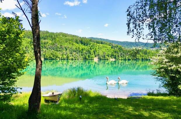 Haus kaufen in 9181 Feistritz (Bild 1)