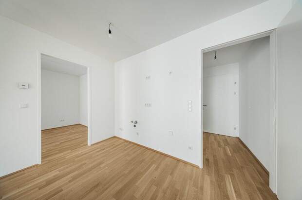 Terrassenwohnung kaufen in 1210 Wien (Bild 4)