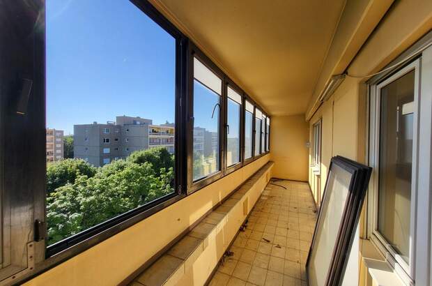 Terrassenwohnung kaufen in 2514 Traiskirchen (Bild 3)