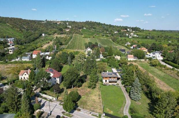 Grundstück kaufen in 2103 Langenzersdorf (Bild 4)