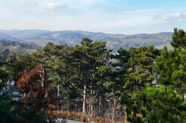 Grundstück kaufen in 3400 Klosterneuburg (Bild 2)