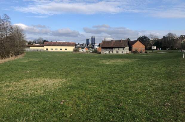 Gewerbeobjekt kaufen in 4760 Raab (Bild 3)