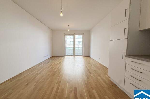 Terrassenwohnung mieten in 1020 Wien (Bild 1)