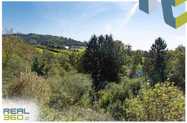 Grundstück kaufen in 4201 Gramastetten (Bild 2)