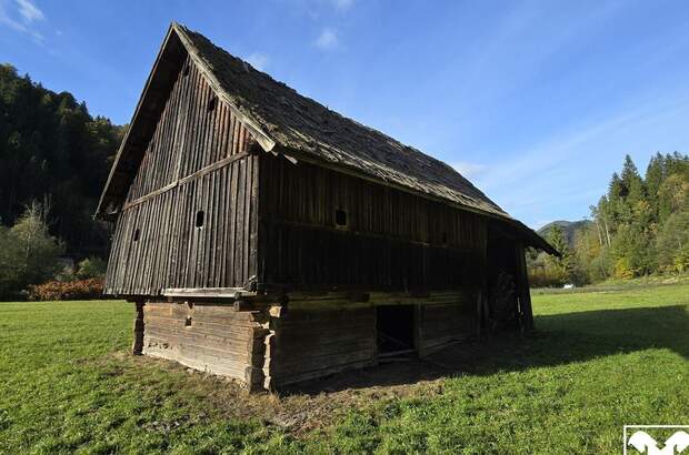 Grundstück kaufen in 9135 Ebriach (Bild 3)